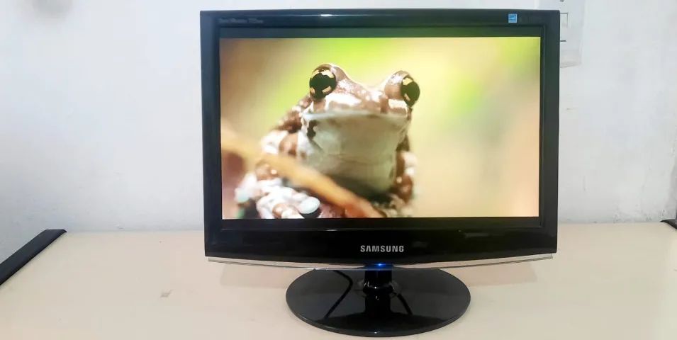 Monitor 17 Polegadas Samsung Lcd 733nw Widescreen