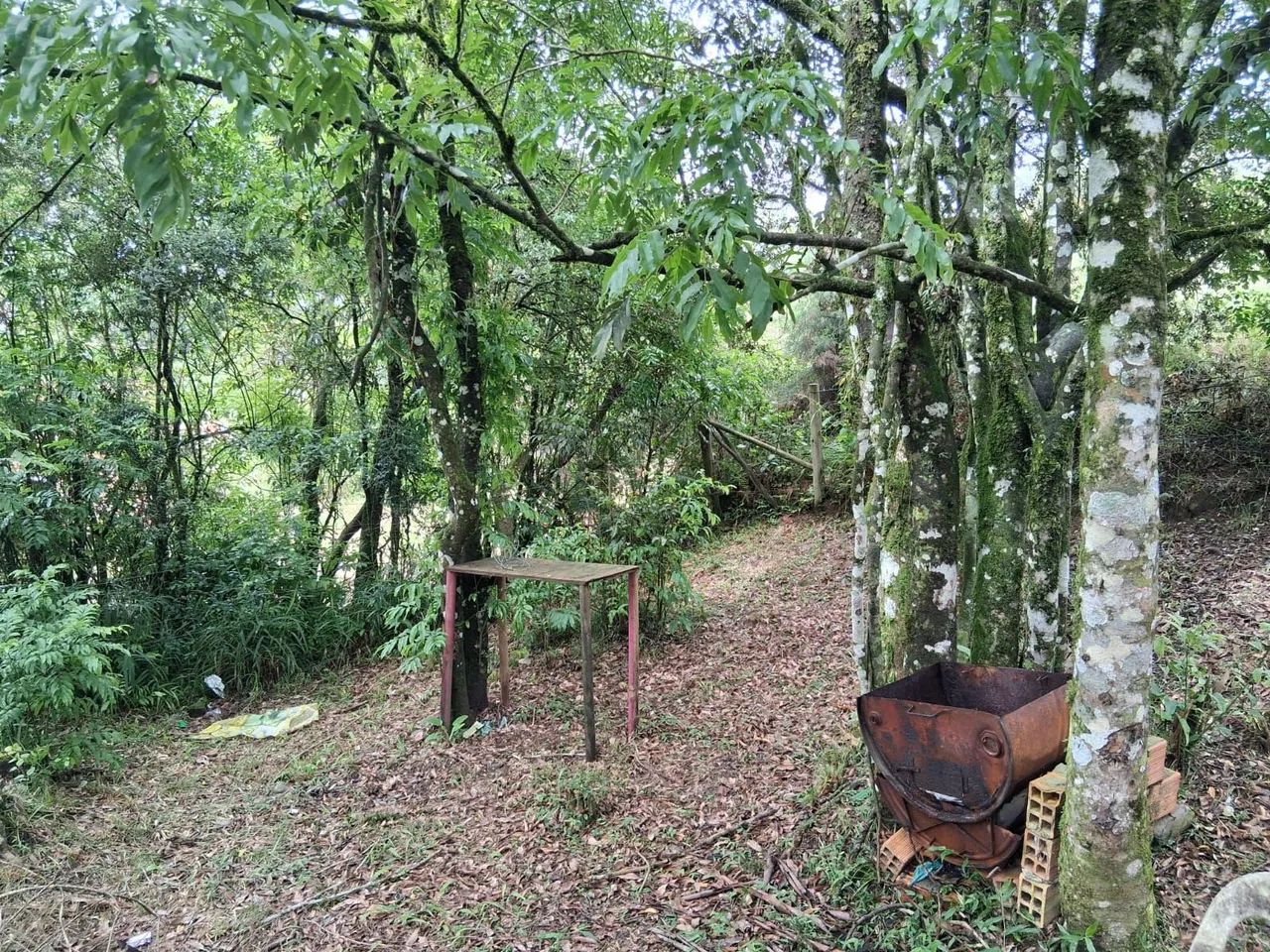 Terreno a venda em Lages - Foto 4
