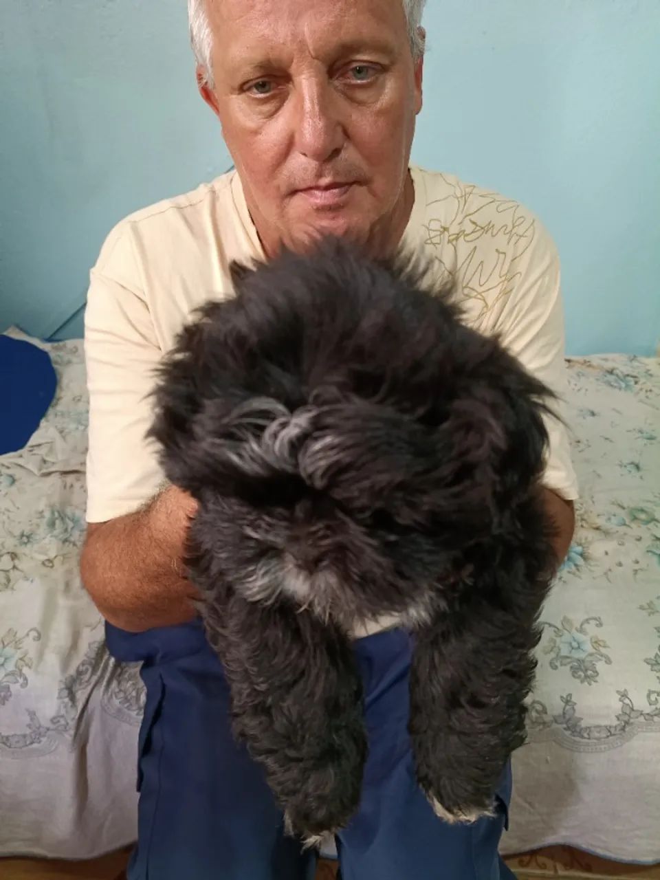 Vendas de shitiso  - Foto 3