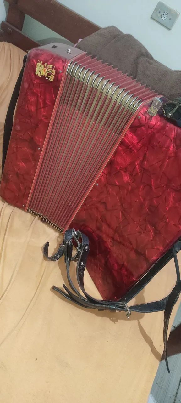 Acordeon todeschilli 80bx - Foto 5