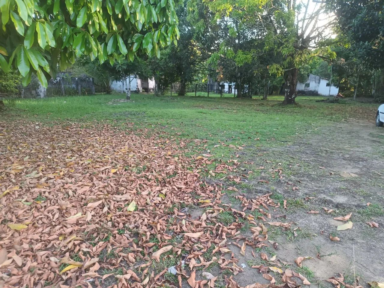 Granja excelente km  07 de Aldeia  - Foto 4