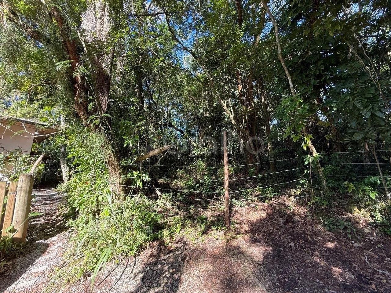 Terreno de 3.495,49 m² no Canto da Lagoa - Foto 3
