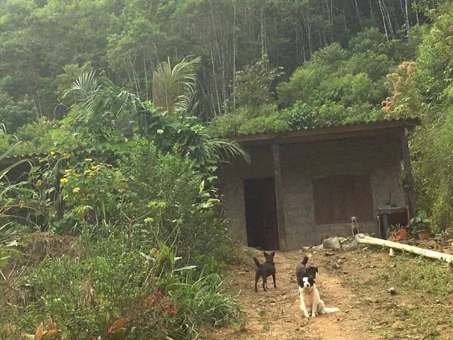 VENDO SÍTIO COM CASA - 9.000m² - Foto 2