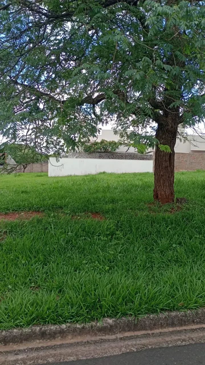 Lote/Terreno para venda com 457 metros quadrados - Foto 6
