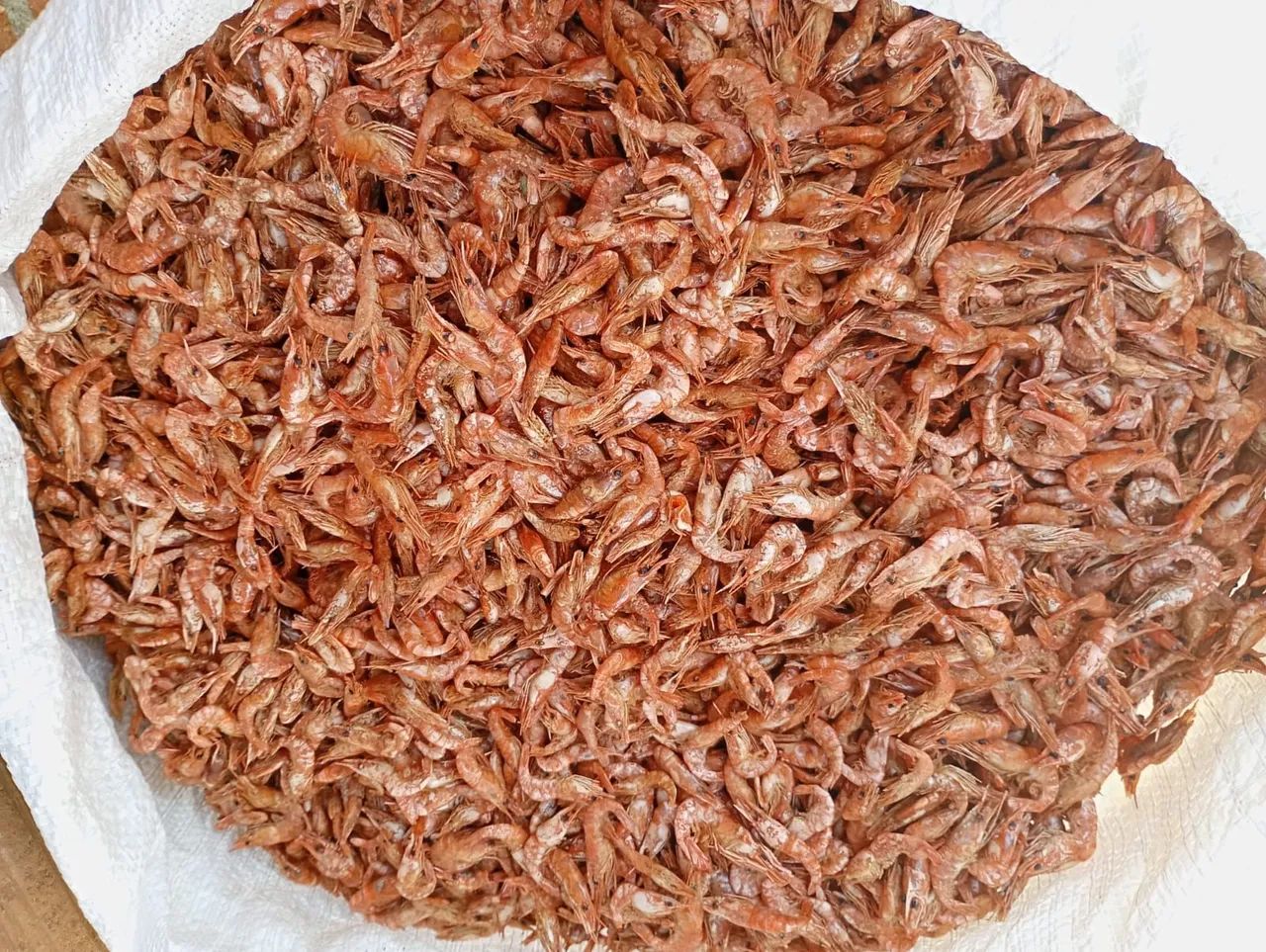 Camarão ? de água doce o Litro 