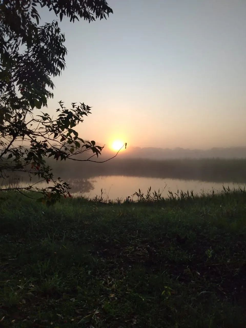 Foto - Paulínia - João Aranha