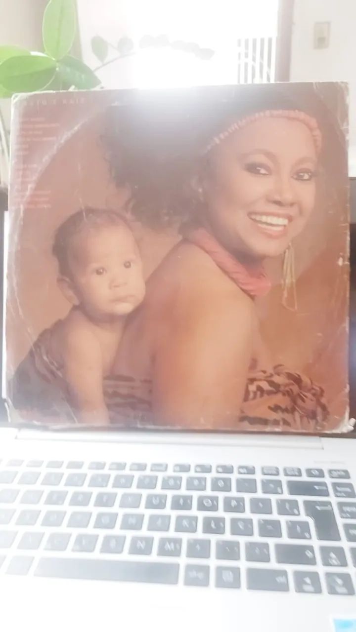 LP - Alcione - Fruto e raiz - Foto 2