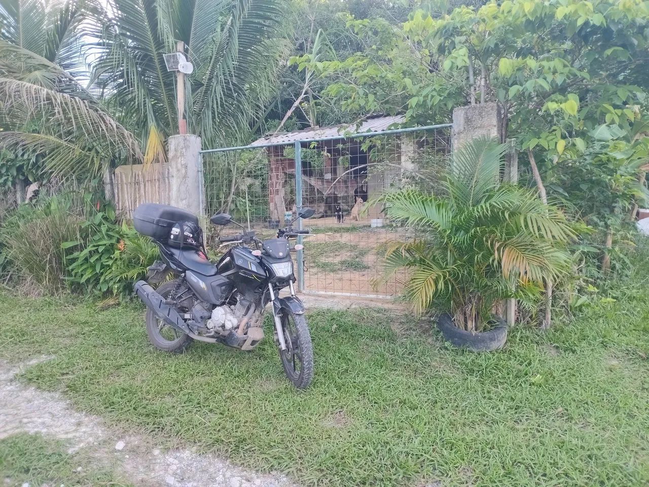 Vende-se pequena casa  com terreno  - Foto 5