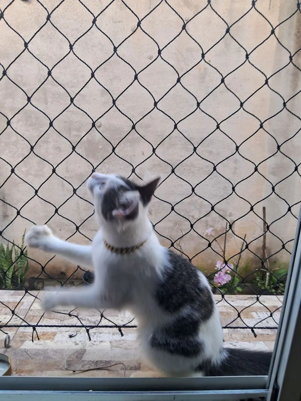 Rvidas redes de proteção e varais de teto  - Foto 2
