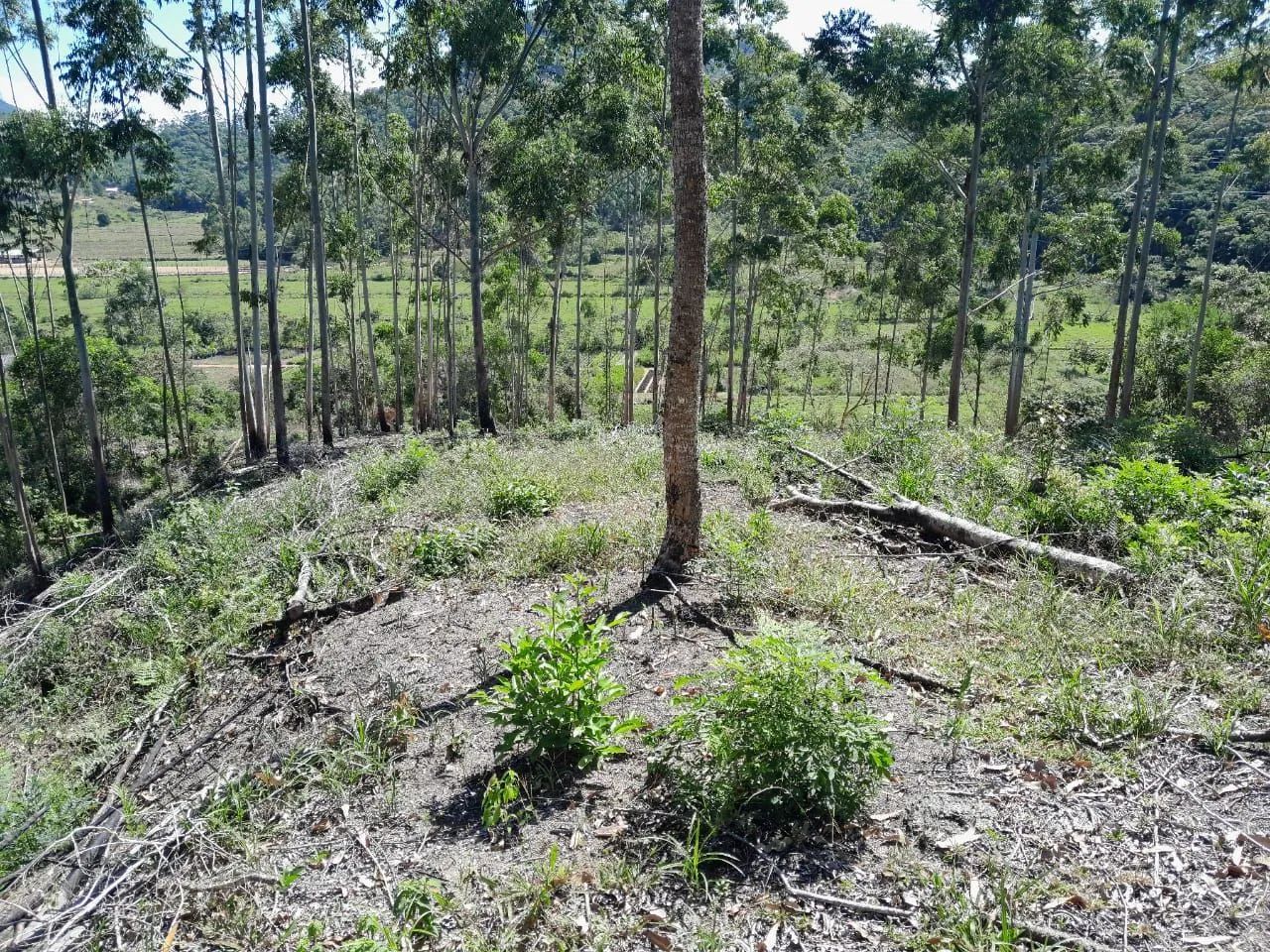 Foto - Biguaçu - Área Rural de Biguaçu