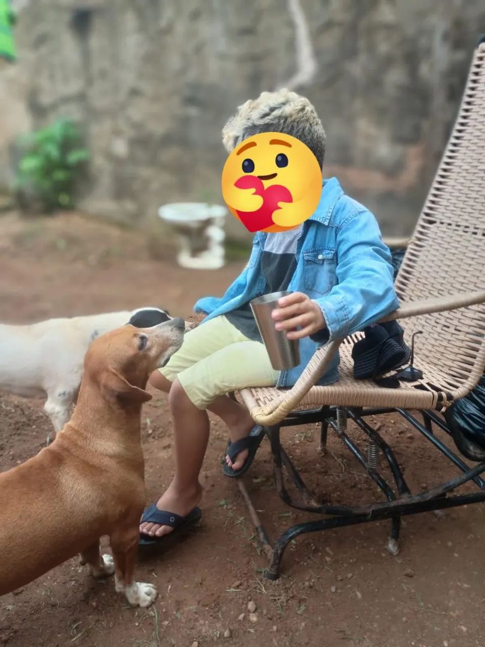 Doação responsável  - Foto 3