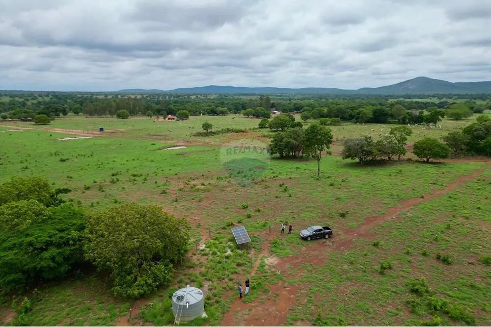 Fazenda à Venda - Oportunidade no Sul do Tocantins - Foto 4