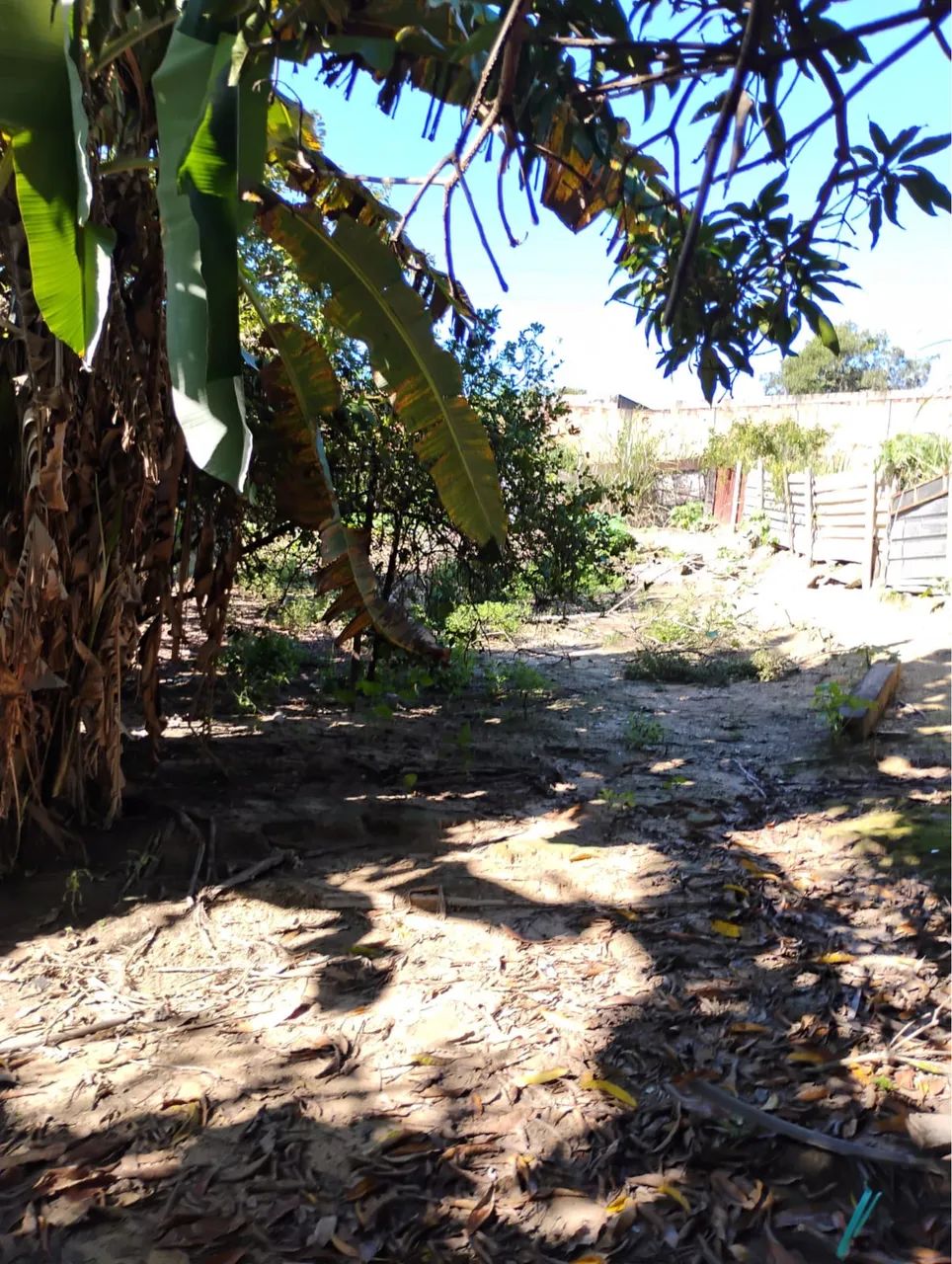 Lote - Foto 4