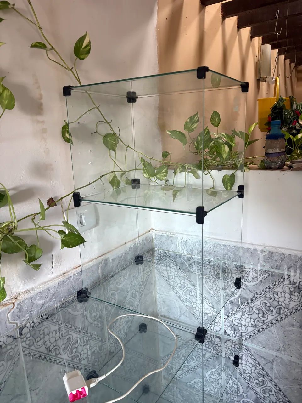 Vitrine balcão  - Foto 3