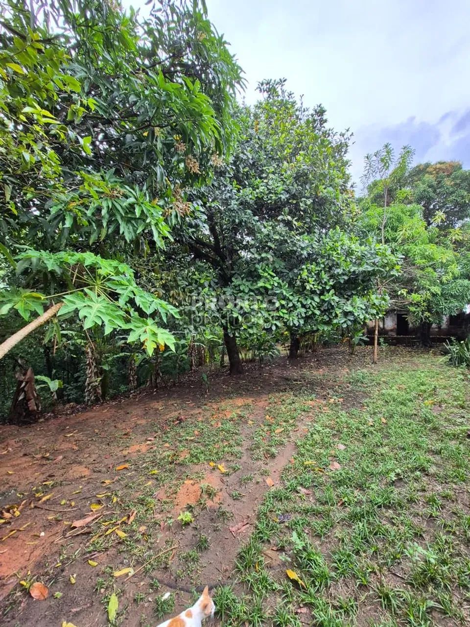 Lote/Terreno/Condomínio em Guabiraba