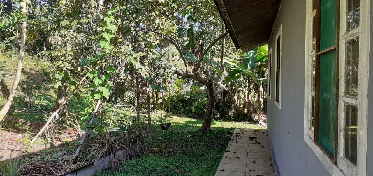 Characara em Paranaguá. - Foto 4