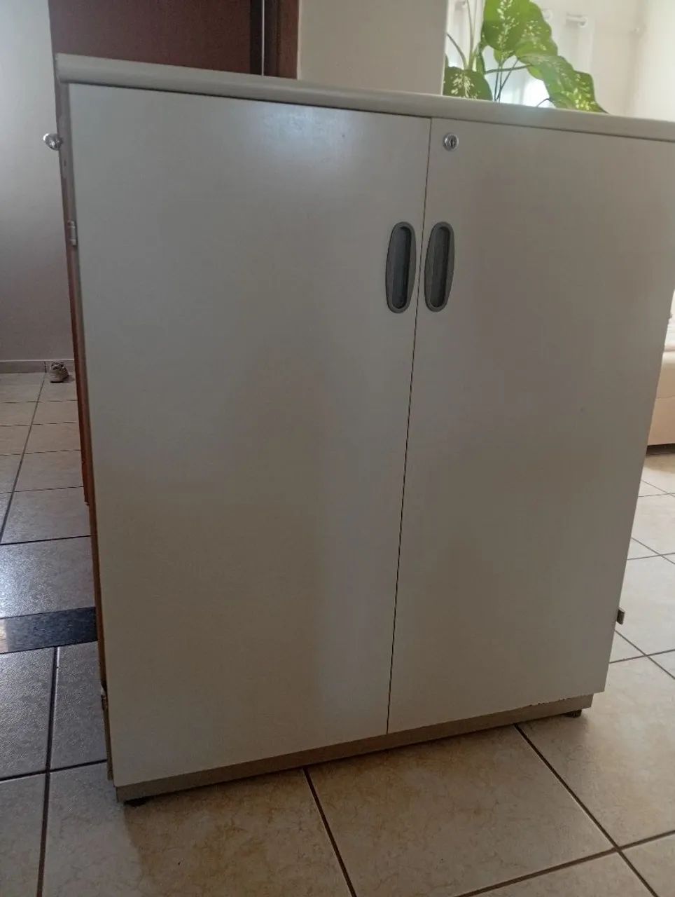 Armário multiuso duas portas 