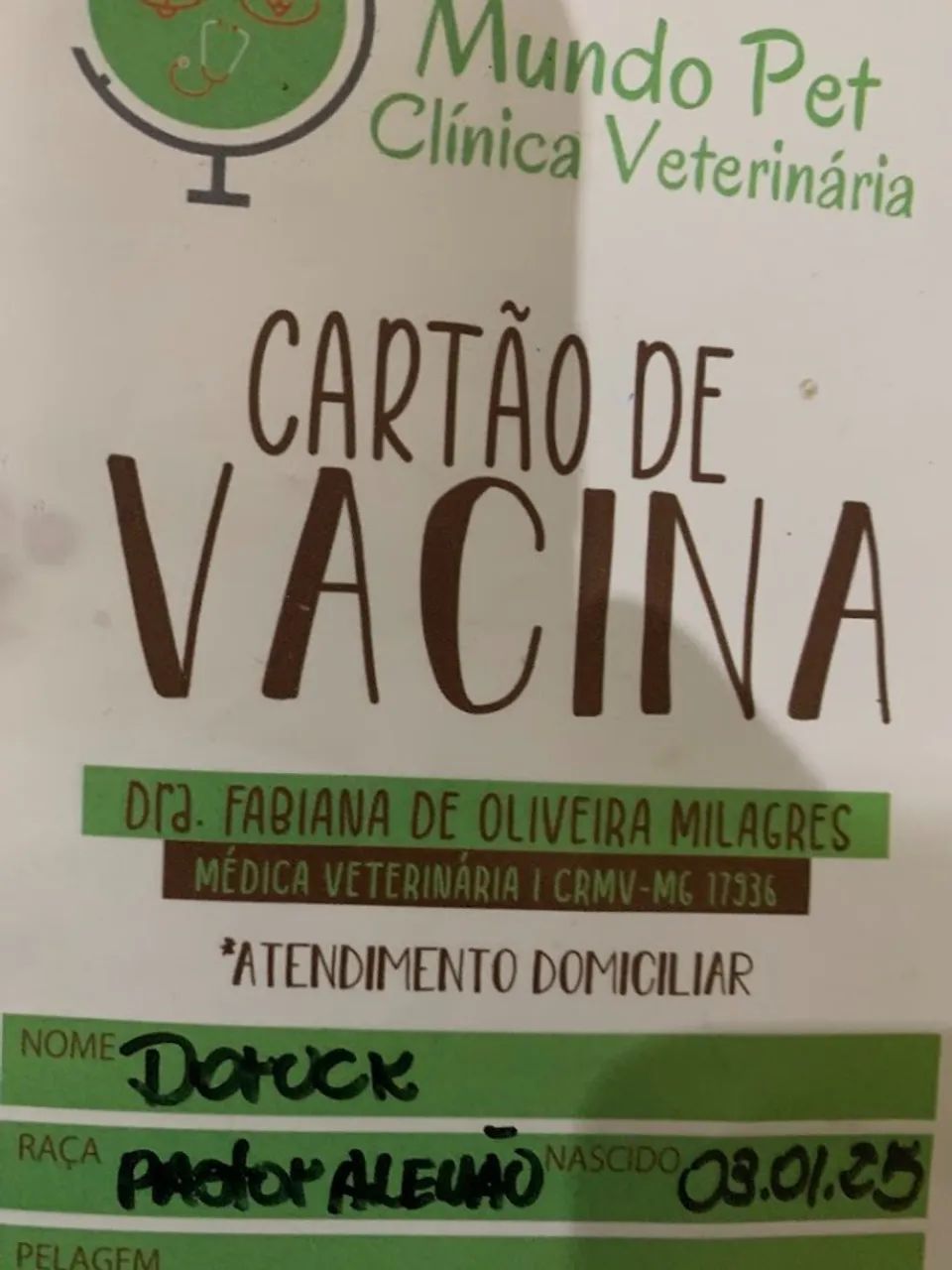 Doação de Pastor Alemão