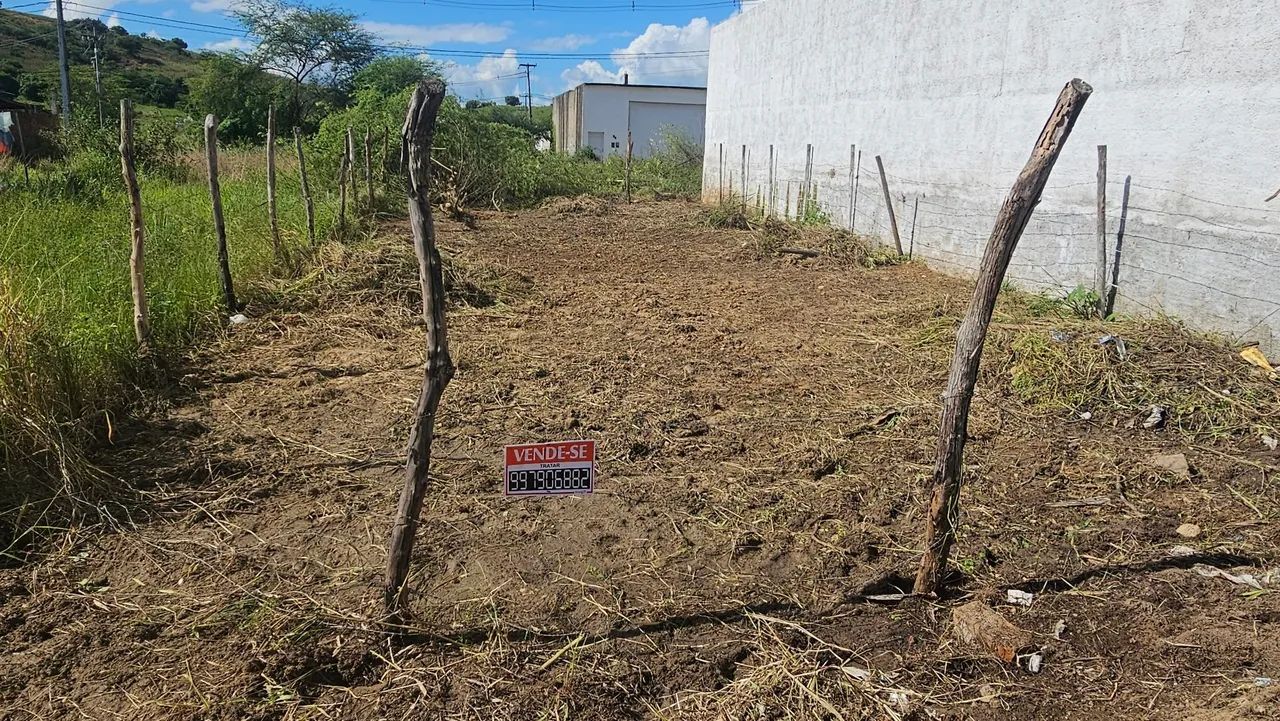 Terreno no Nova Limoeiro 2° etapa - Foto 4