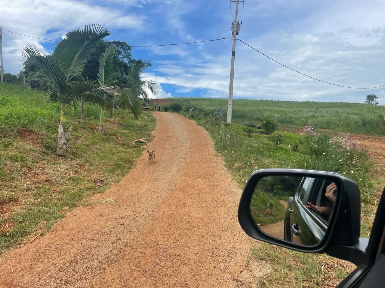 Chácara 3,2 alqueires toda estruturada - Foto 3