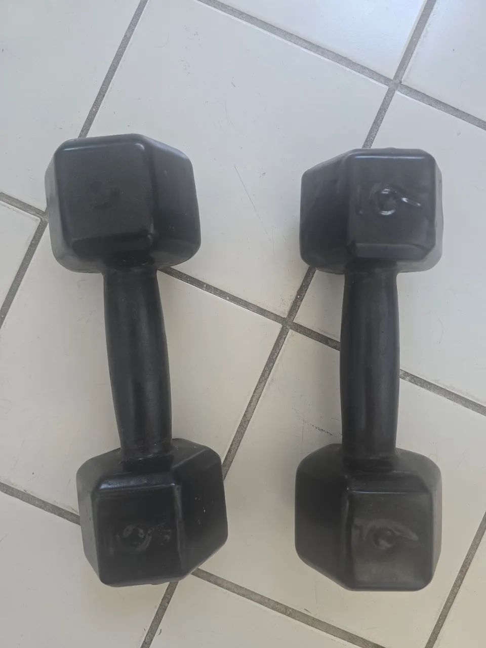 Par de halteres de 6kg