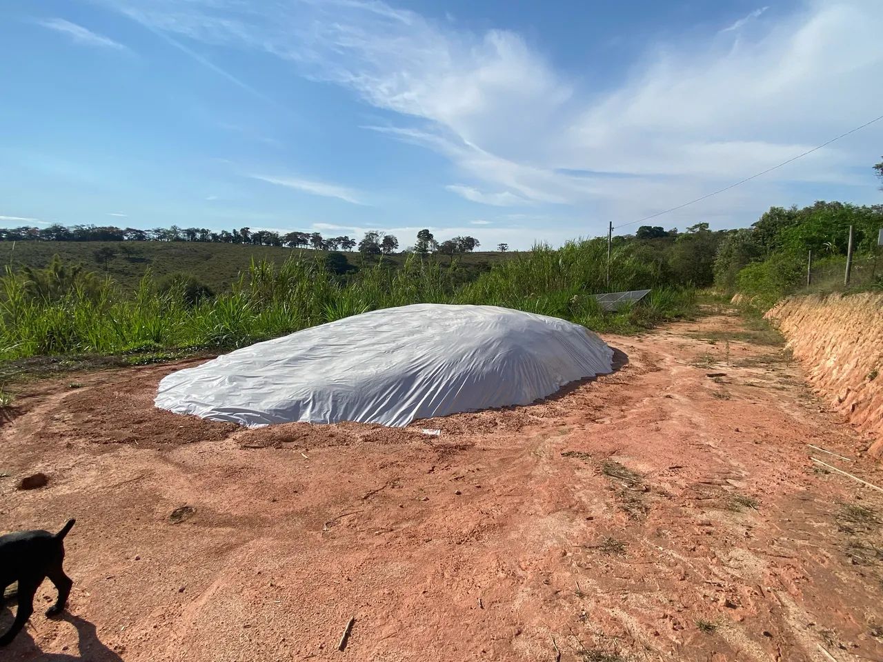 Silo a venda - silagem 