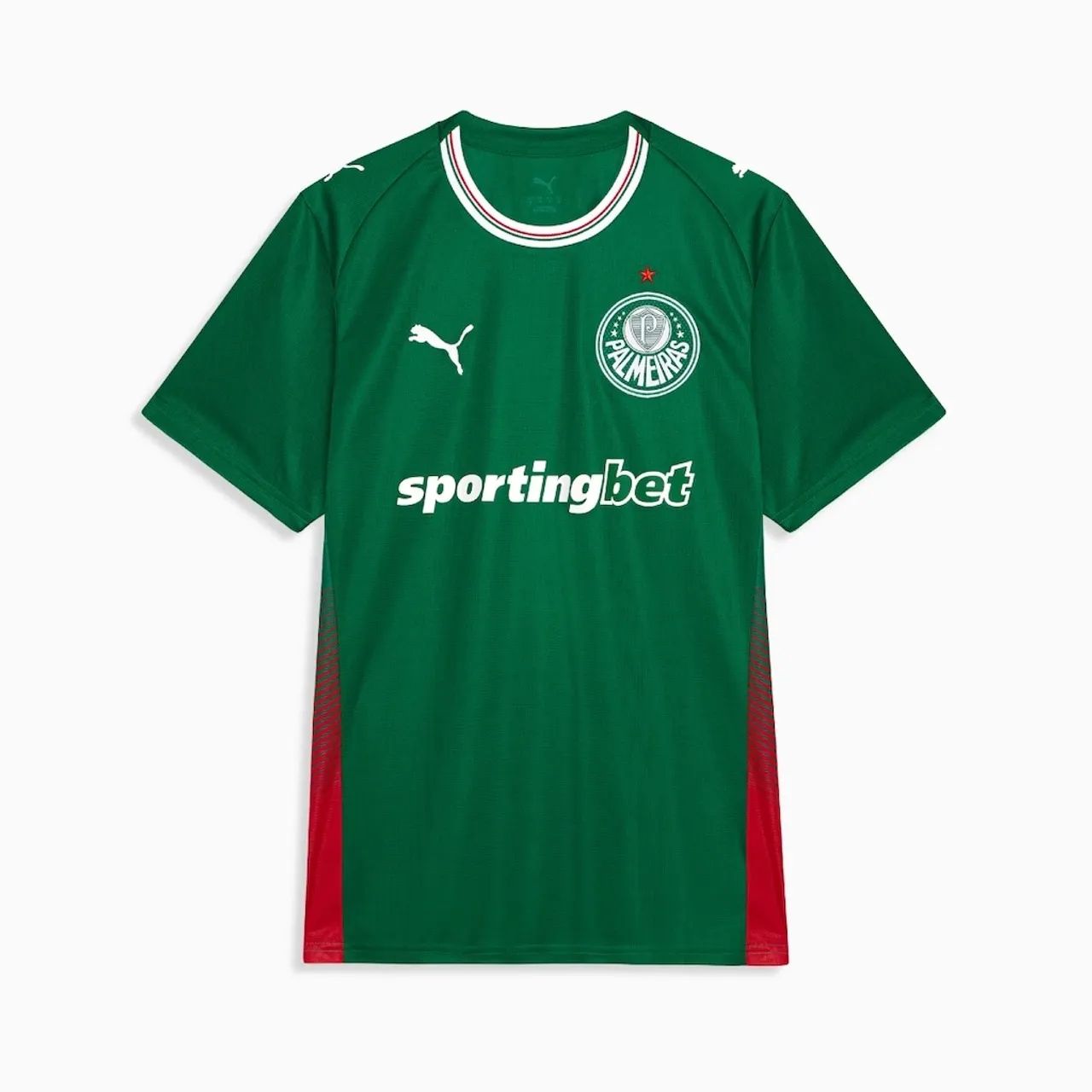 Camisa do Palmeiras Puma 2026 Uniforme 1 Torcedor 