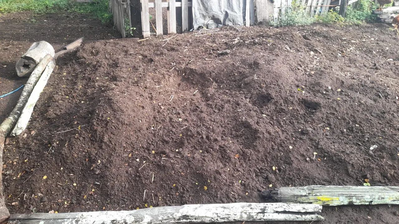 Esterco pra plantas e pra plantio.