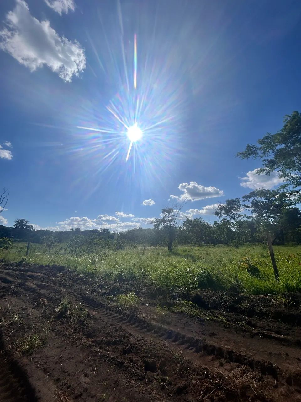 Chácara à Venda em Alto Alegre/RR - 3.400 m² - R$ 35.000