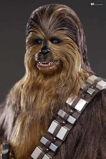 Hot Toys Chewbacca & C3PO  - Foto 2