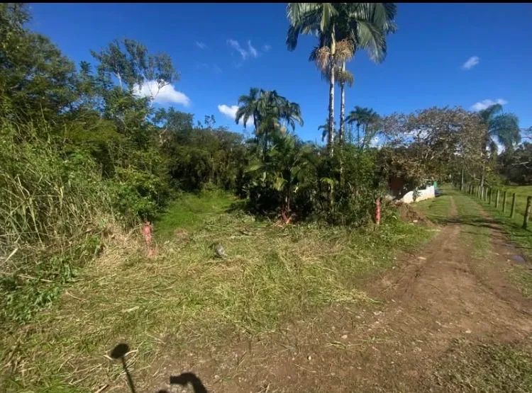 Terreno Na cidade de Antonina  - Foto 3