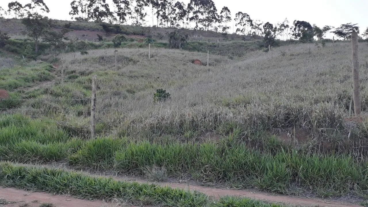 Terreno bairro vila Palmares 