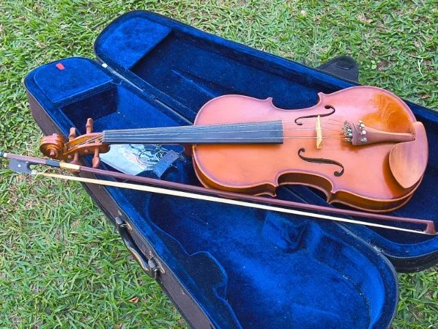 viola de arco VA150 eagle