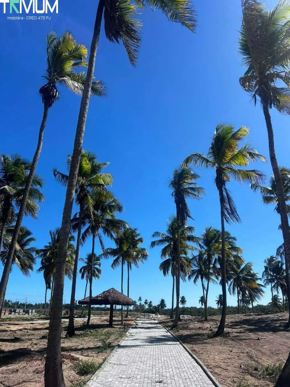 VILLAREDO ARUANA [7995]
