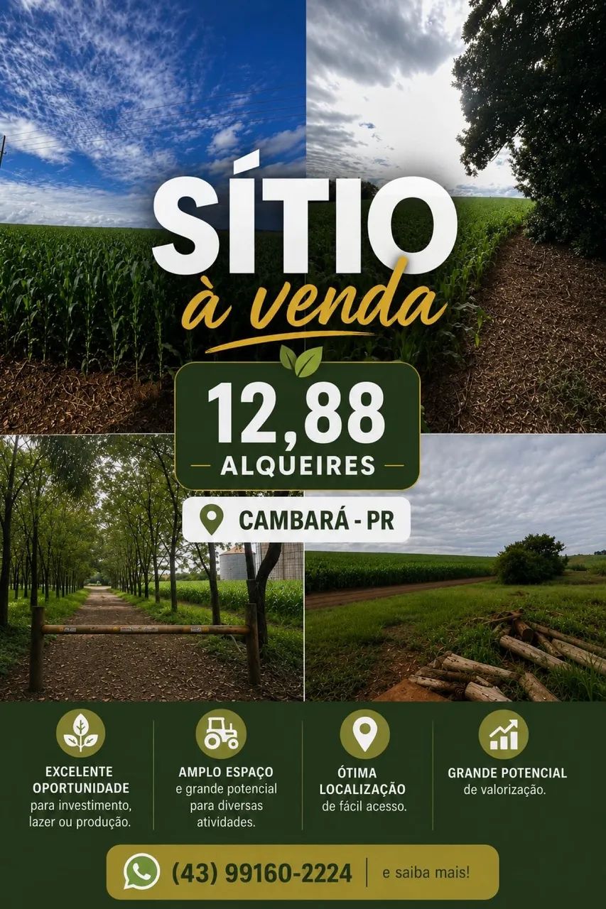 Sítio a venda  - Foto 4