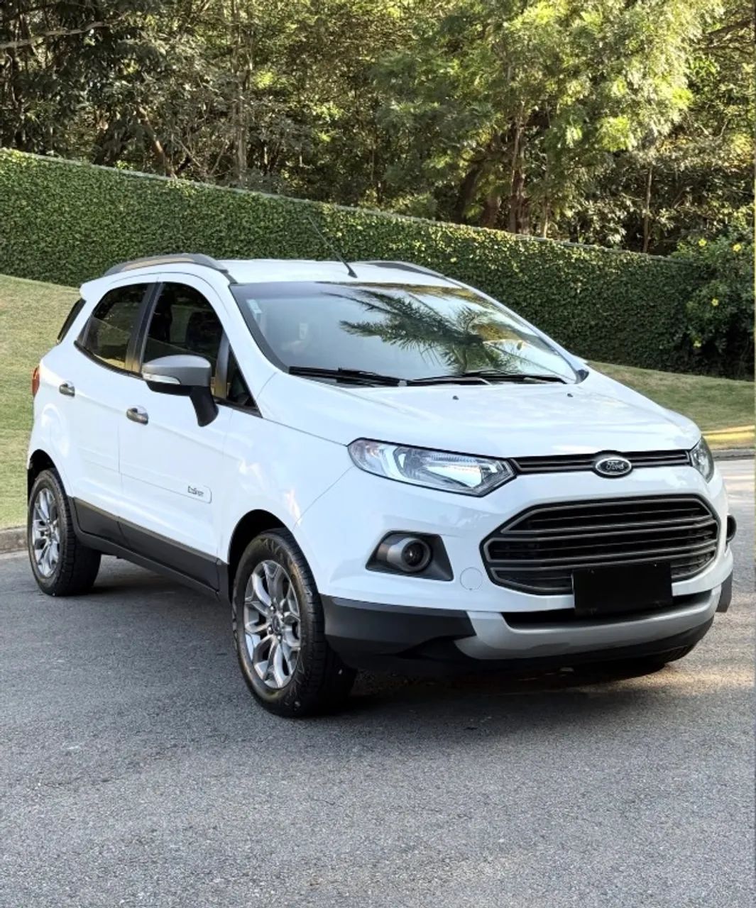 Ford Ecosport EcoSport FREESTYLE 1.6 16V Flex 5p 2015