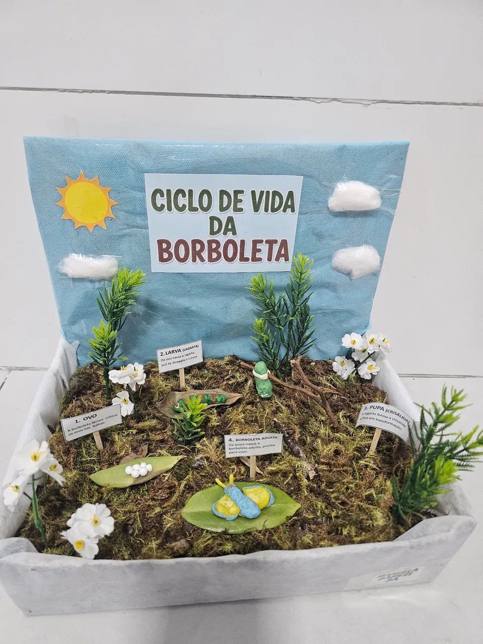 Maquete borboleta