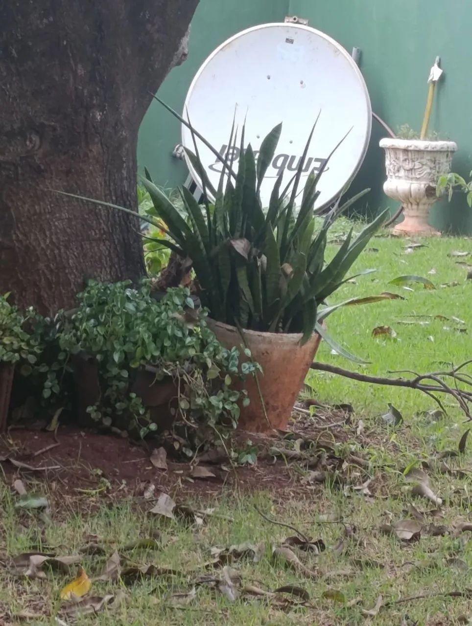Antena da Embratel grande com  acessórios 
