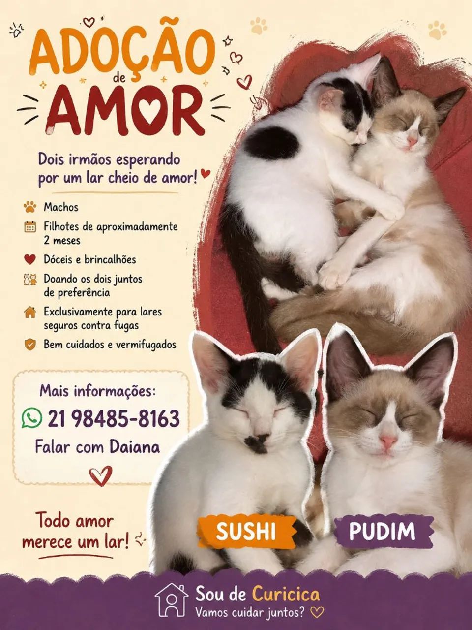 Gatinhos Machos 