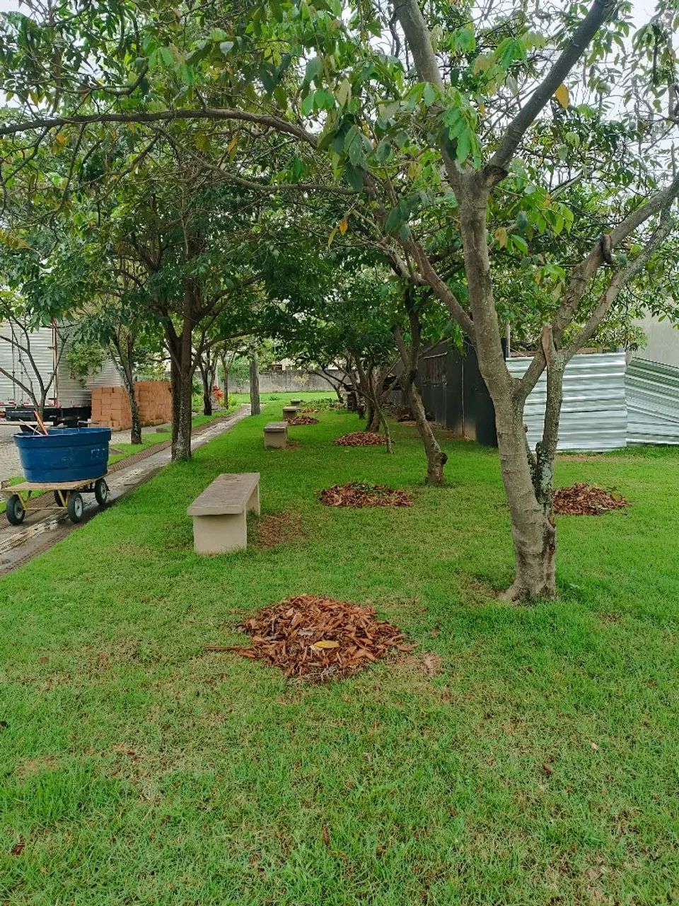 Faço serviço de jardinagem  - Foto 4