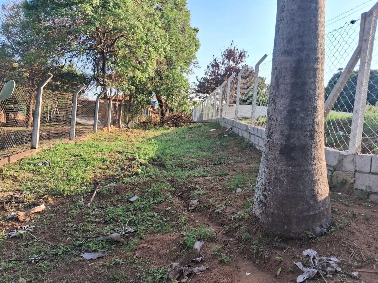 CHÁCARA EM MARÍLIA  - Foto 3