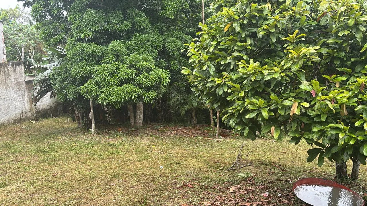 Locação de terreno  - Foto 3