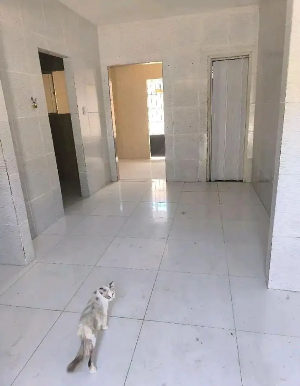 Casa à venda, CIDADE NOVA, Aracaju, SE - Foto 4