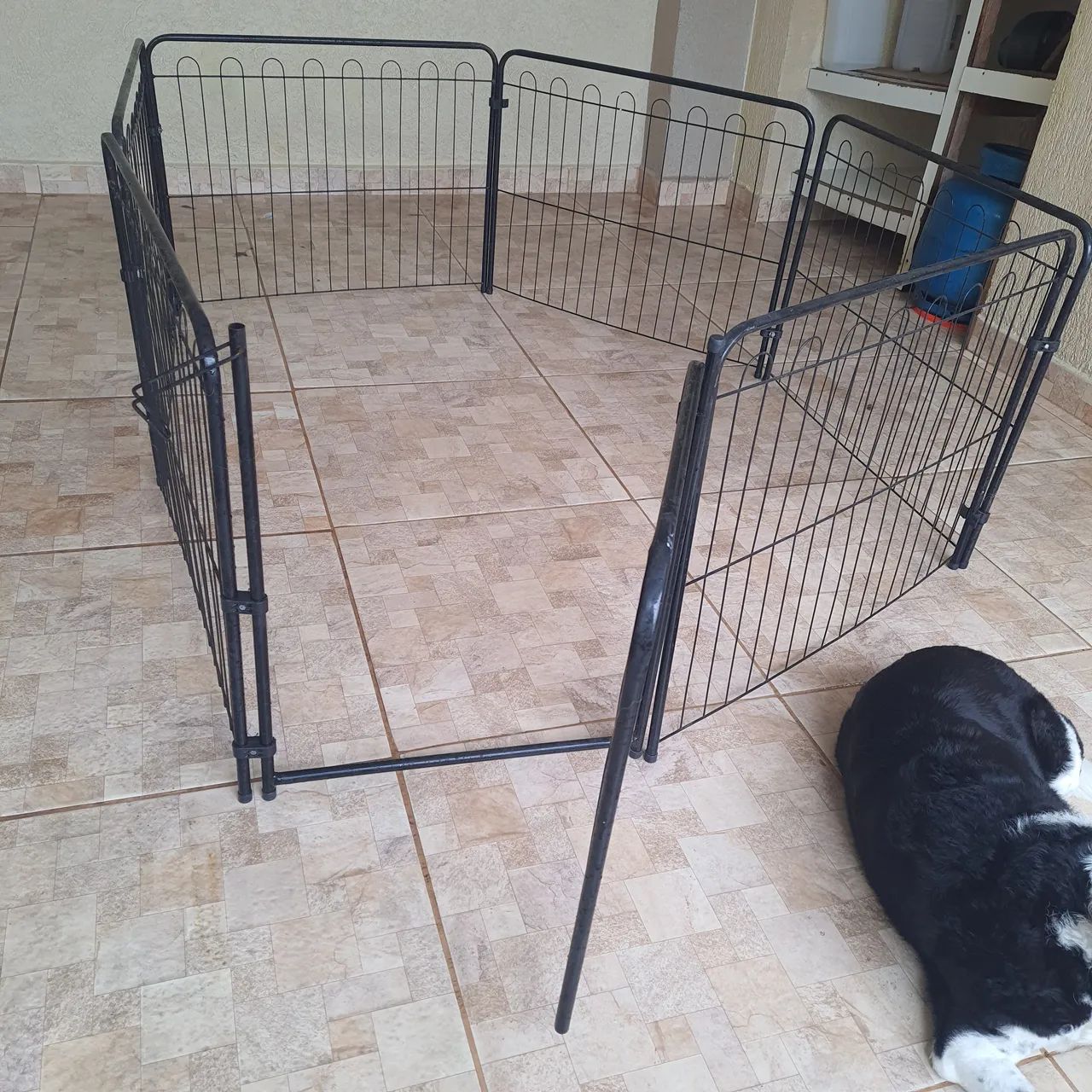 Cercadinho pet - Foto 4