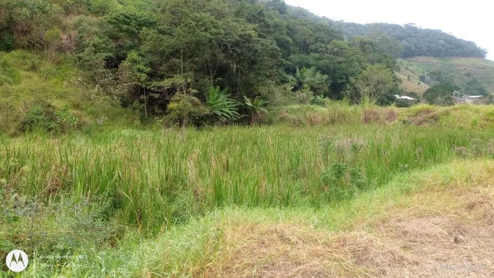 Foto - Juiz de Fora - Manoel Honório