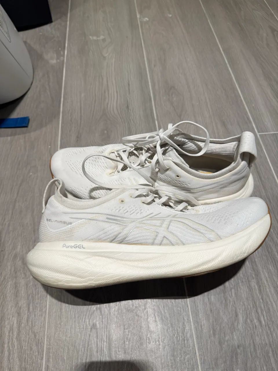 Asics Nimbus 25