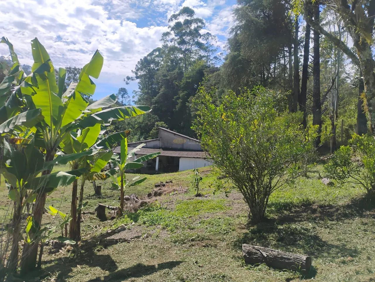 Chácara para Venda - Foto 3