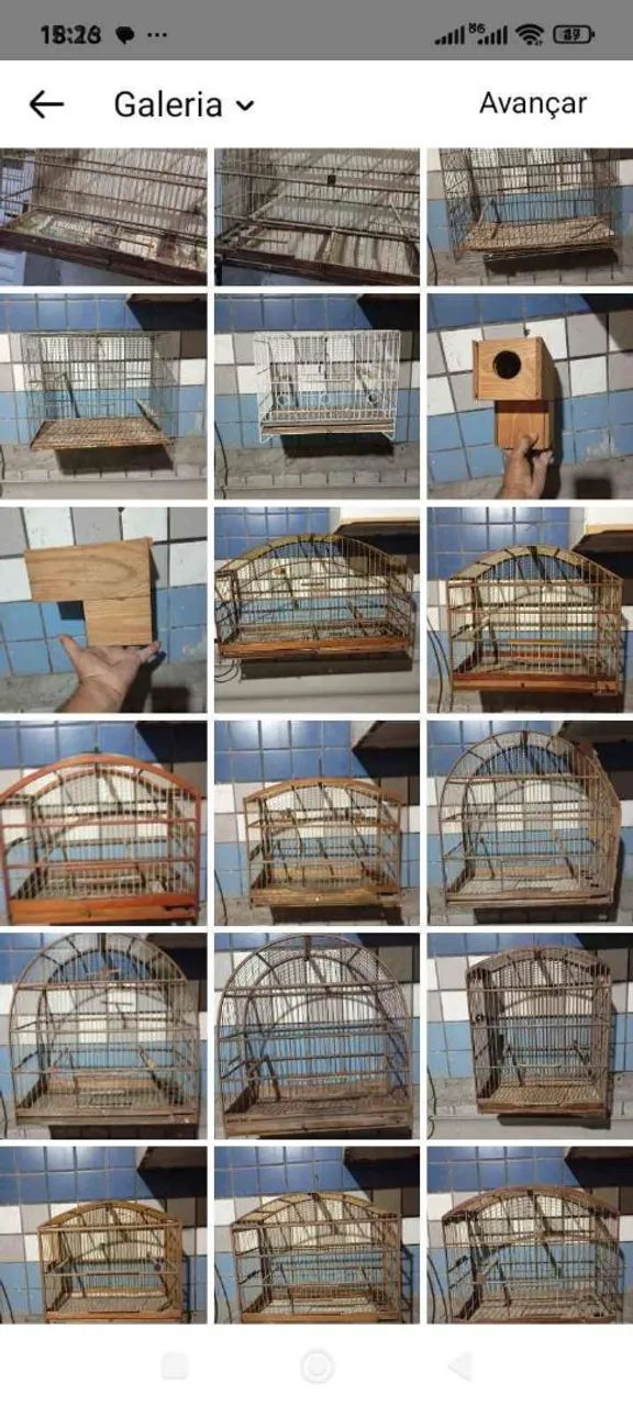 Lote de galiolas preços a partir de 40 reais  - Foto 2