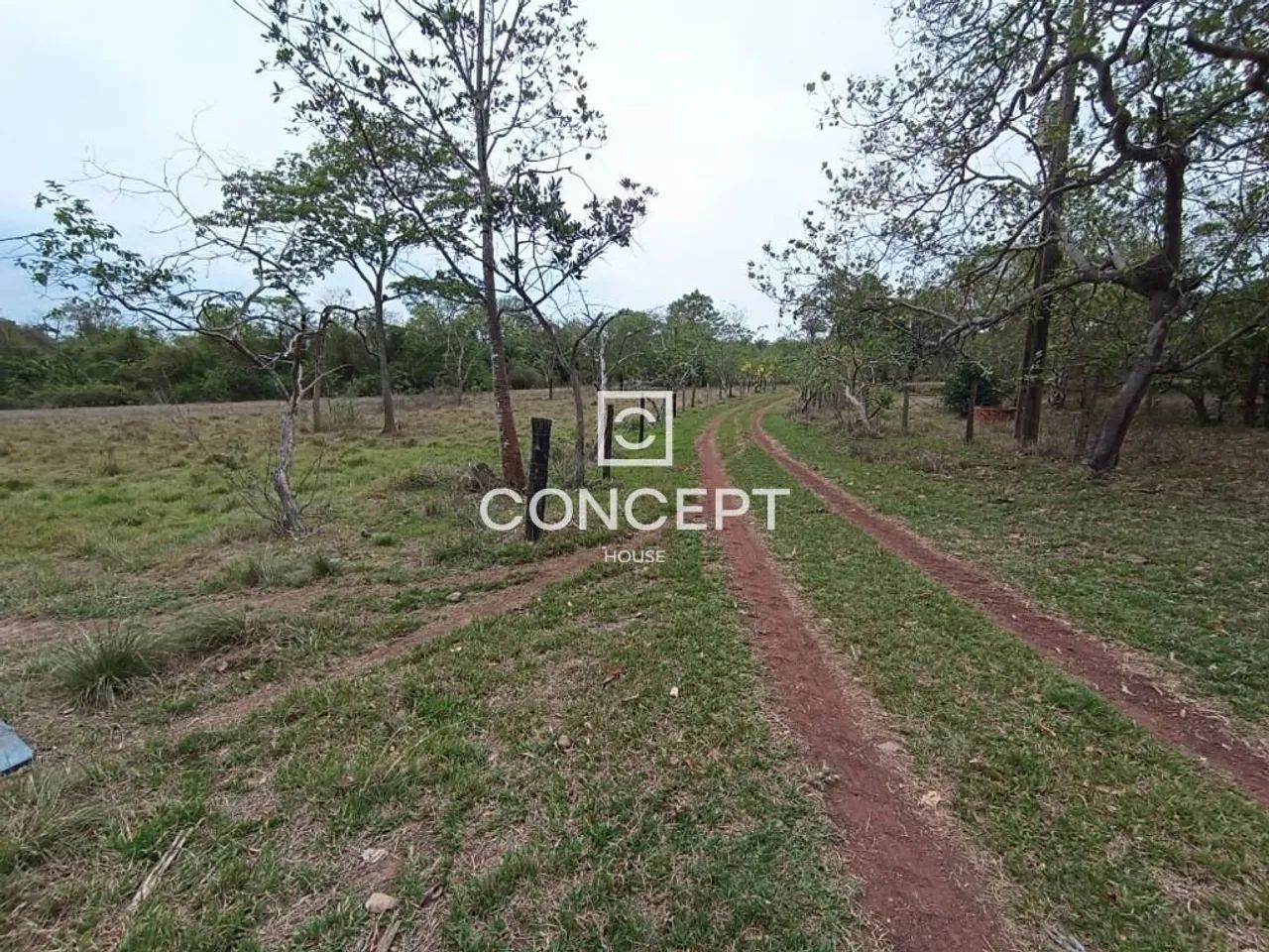 FAZENDA NA REGIÃO DE JANGADA / MT - Foto 5