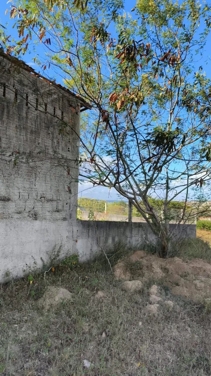  pelada são Caetano pra vender logo